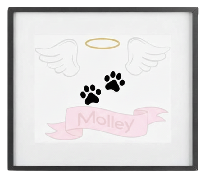 Memorial Gifts of Your Loved Ones | Remembrance Gift In Loving Memory - Pet Shadowboxes