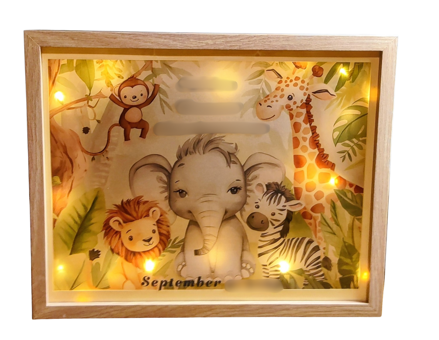 Shadowbox - Baby Jungle (Illuminated)